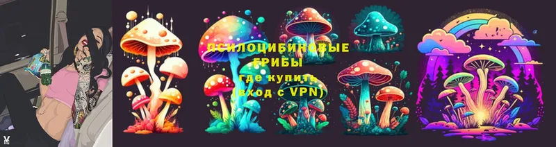 Псилоцибиновые грибы MAGIC MUSHROOMS  Городовиковск 